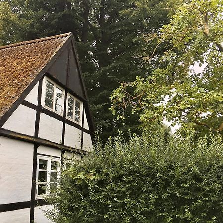 Hvidegaard Mon Stege Exterior foto