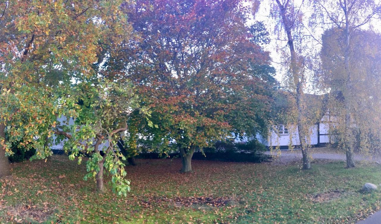 Hvidegaard Mon Stege Exterior foto