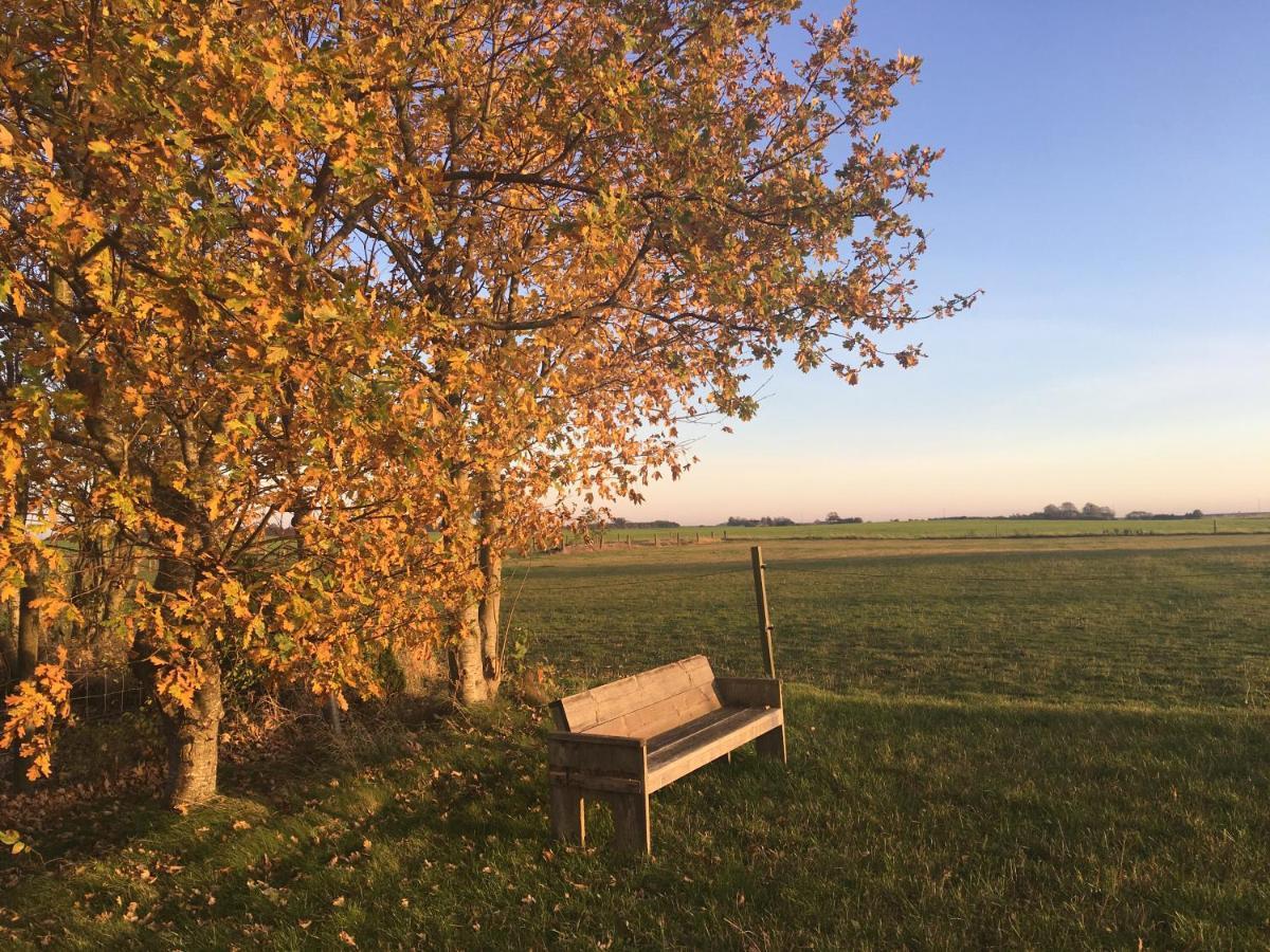 Hvidegaard Mon Stege Exterior foto