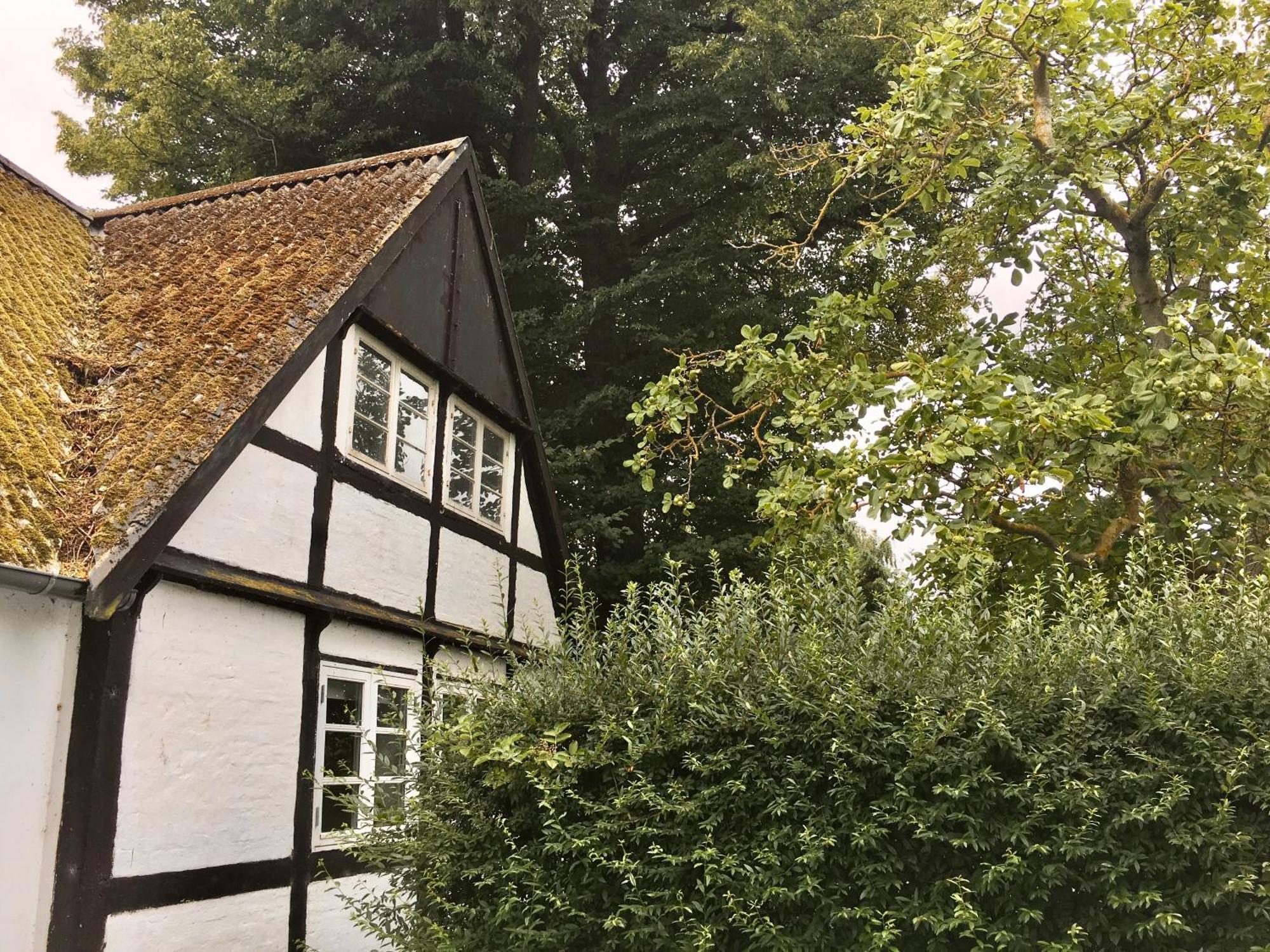 Hvidegaard Mon Stege Exterior foto